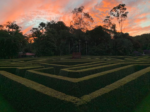 Bellingham Maze - Accommodation Noosa 0