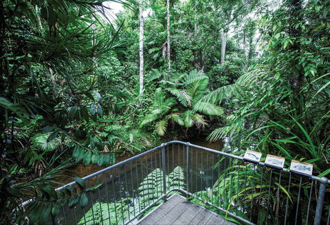 Djiru National Park - Accommodation Noosa 1