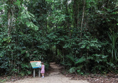 Djiru National Park - Accommodation Noosa 2