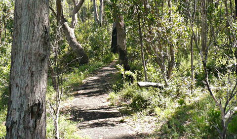 Euglah Rock Walking Track - Accommodation Noosa 0