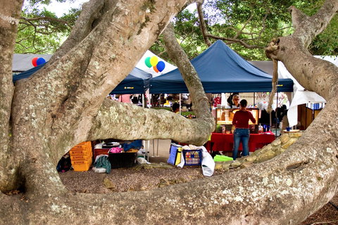 Eumundi - Accommodation Noosa 0