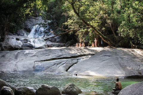 Josephine Falls Walking Track, Wooroonooran National Park - Accommodation Noosa 1