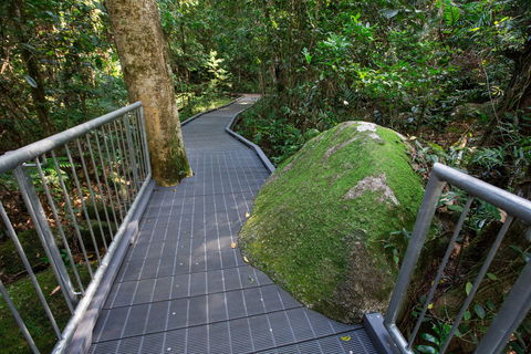 Josephine Falls Walking Track, Wooroonooran National Park - Accommodation Noosa 2