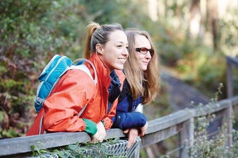 Kinglake National Park - Accommodation Noosa 2