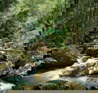 Maleny - Accommodation Noosa