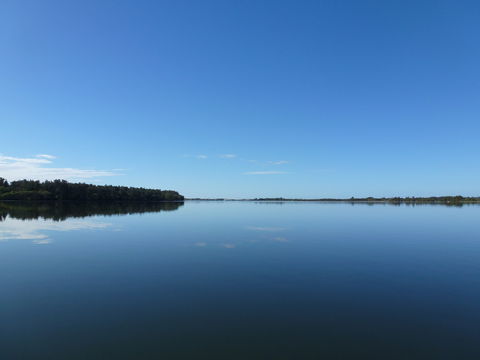 Manning River - Accommodation Noosa 0