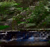 Millards Creek Walk and Cycleway - Accommodation Noosa
