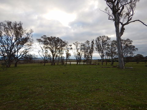 Murrumbateman - Accommodation Noosa 1