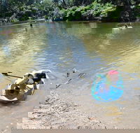 Neurum Creek Campgrounds - Accommodation Noosa