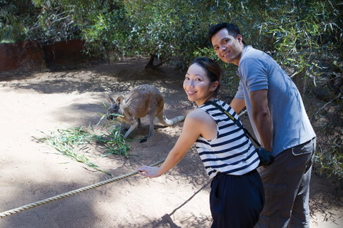 Perth Zoo - Accommodation Noosa 2