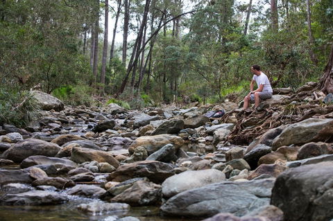 Rocksberg Park Heritage Reserve - Accommodation Noosa 0