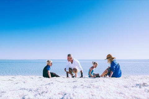 Shell Beach - Accommodation Noosa 1