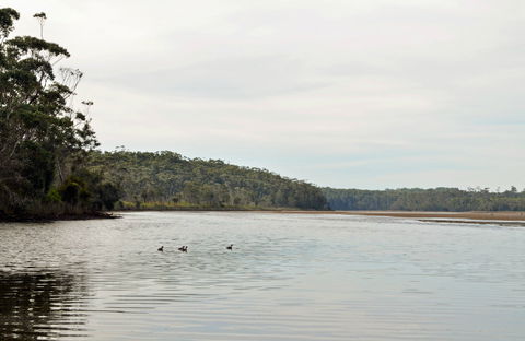 Tabourie Lake - Accommodation Noosa 0