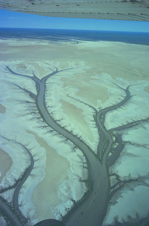 Tidal Flats - Accommodation Noosa 0