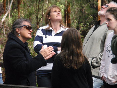 Ancient Empire Walk, Valley Of The Giants - Accommodation Noosa 1