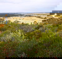 Archer Drive Scenic Drive and Lookout - Accommodation Noosa