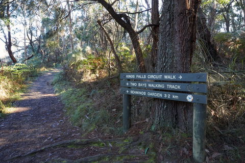 Arthurs Seat To Kings Falls Walk - Accommodation Noosa 0
