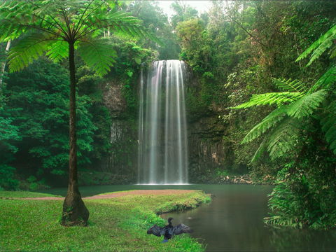 Atherton Tablelands - Accommodation Noosa 0