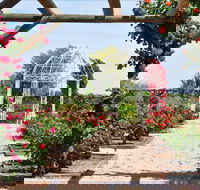 Australian Inland Botanic Gardens - Accommodation Noosa