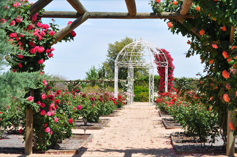 Australian Inland Botanic Gardens - Accommodation Noosa 0