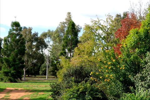 Australian Inland Botanic Gardens - Accommodation Noosa 2