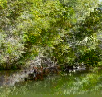 Berry Springs Nature Park - Accommodation Noosa
