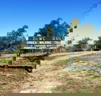 Bindea Walking Track - Accommodation Noosa