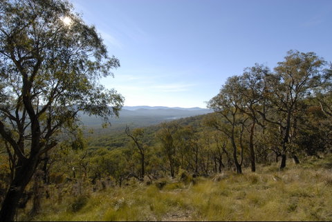 Bunyip State Park - Accommodation Noosa 0