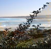 Cape Conran Coastal Park