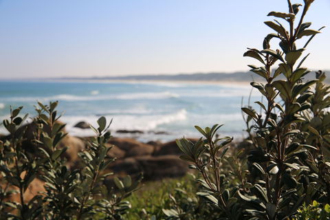 Cape Conran Coastal Park - Accommodation Noosa 0