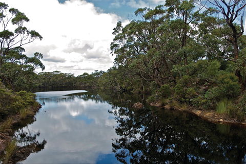 Cape Conran Coastal Park - Accommodation Noosa 2