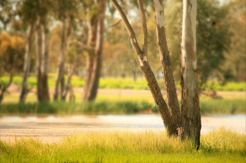 Cecil Plains To Tara Fishing Tour - Accommodation Noosa 1