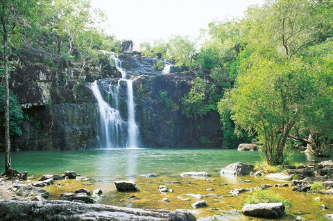 Cedar Creek Falls - Accommodation Noosa 0