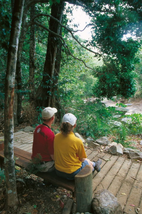 Cedar Creek Falls - Accommodation Noosa 1