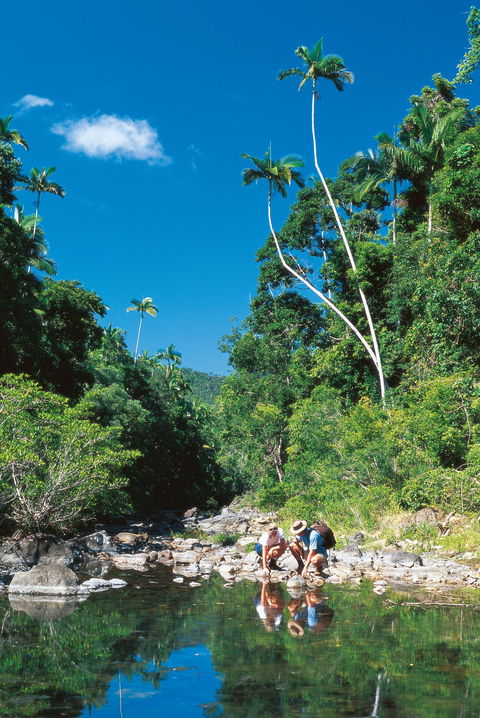 Cedar Creek Falls - Accommodation Noosa 2