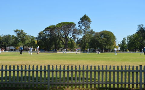 Cootamundra Cricketing Exploration - Accommodation Noosa 0