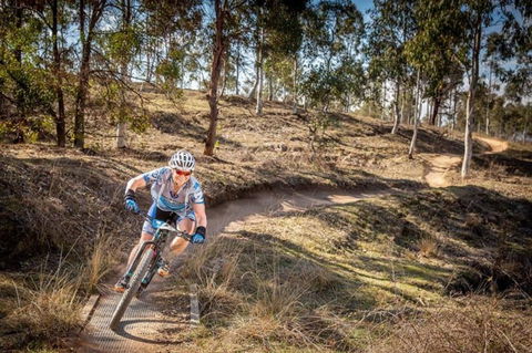 Cycle Mogo State Forest - Accommodation Noosa 0