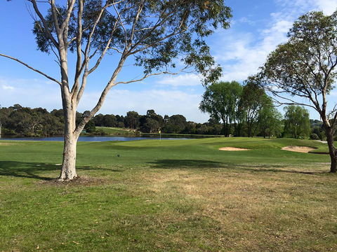 Devilbend Golf Club - Accommodation Noosa 0