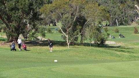 Devilbend Golf Club - Accommodation Noosa 2
