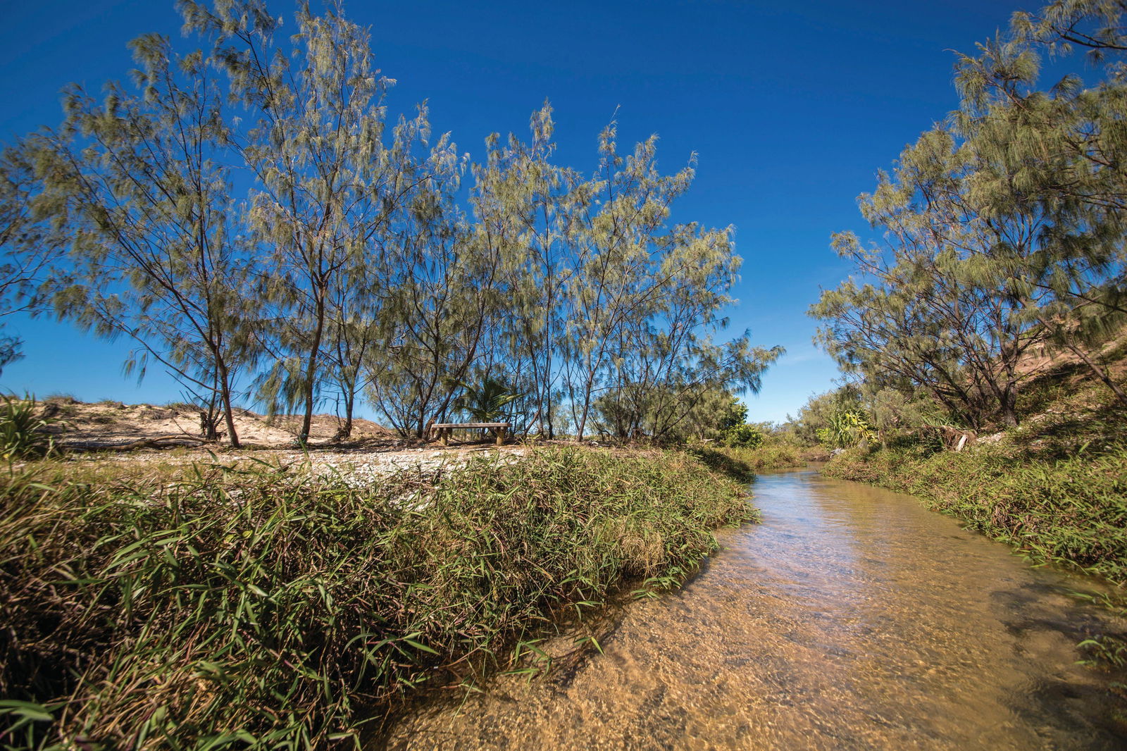 Farnborough QLD Accommodation Noosa