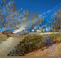 Freshwater Creek Track Byfield National Park - Accommodation Noosa