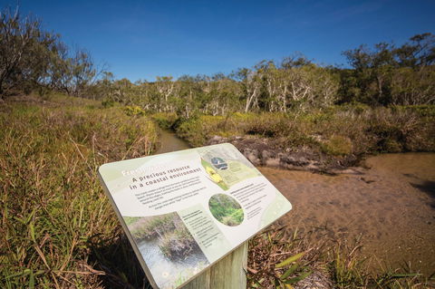 Freshwater Creek Track, Byfield National Park - Accommodation Noosa 1