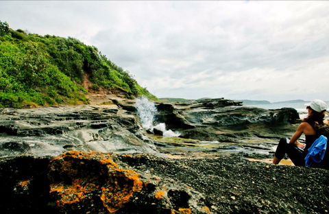 Glenrock State Conservation Area - Accommodation Noosa 0
