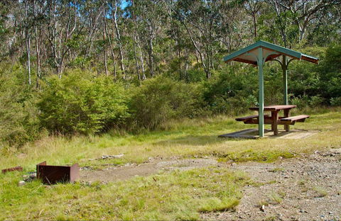 Gloucester Tops Picnic Area - Accommodation Noosa 0