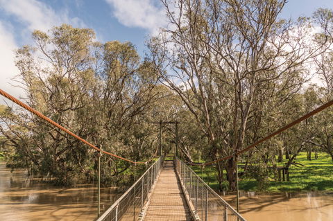 Lachlan River Swing Bridge - Accommodation Noosa 0