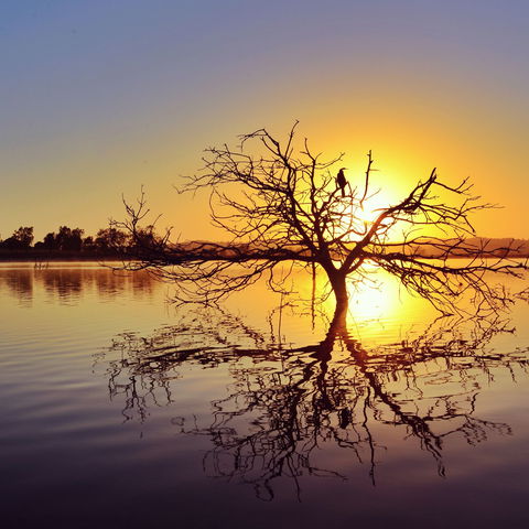 Lake Dyer - Accommodation Noosa 0