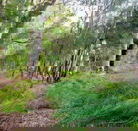 Meroo Lake walking track - Accommodation Noosa