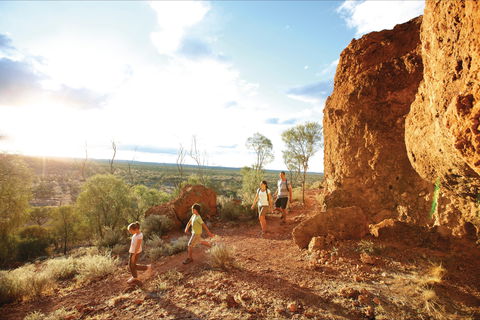 Natural Sciences Loop - Accommodation Noosa 0