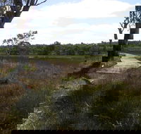Penola Conservation Park - Accommodation Noosa