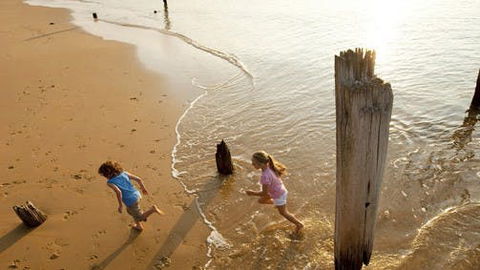 Phillip Island - Accommodation Noosa 0